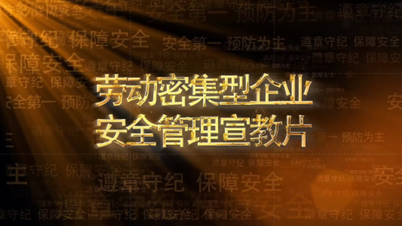 劳动密集型企业生产安全管理宣教片