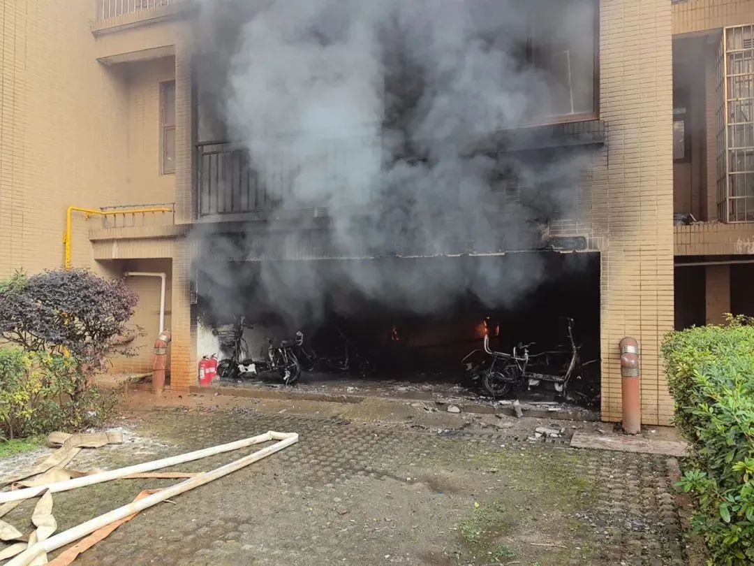 中安力盾|注意，烟花燃放安全提示！别让“熊孩子”闯大祸！